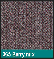 365 Berry Mix
